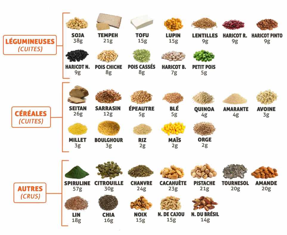 sources-de-proteines-vegetales_001